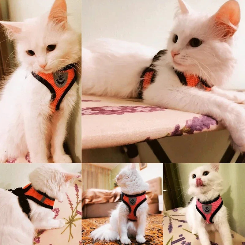 Cat Vest for Walking