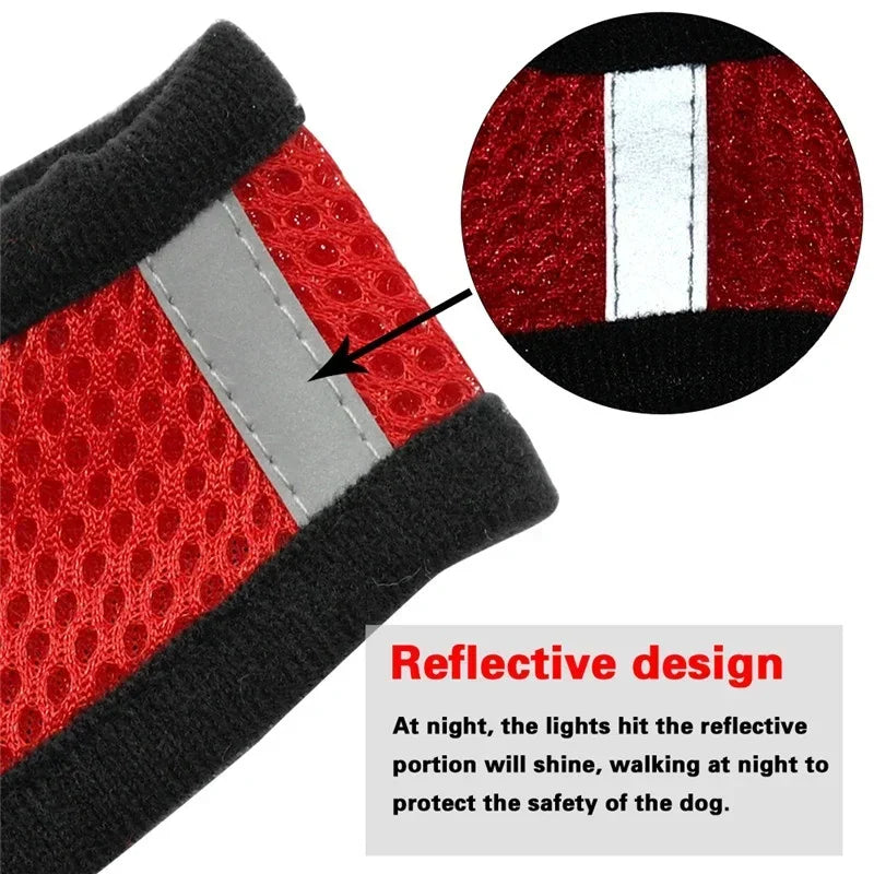 Cat Vest for Walking