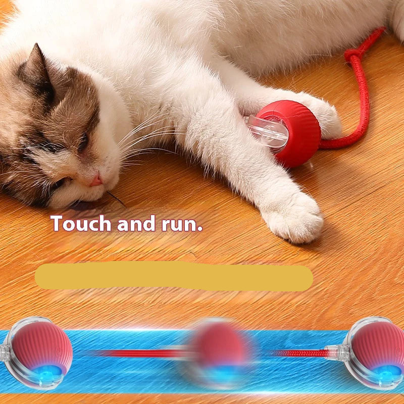 Automatic Rolling Ball