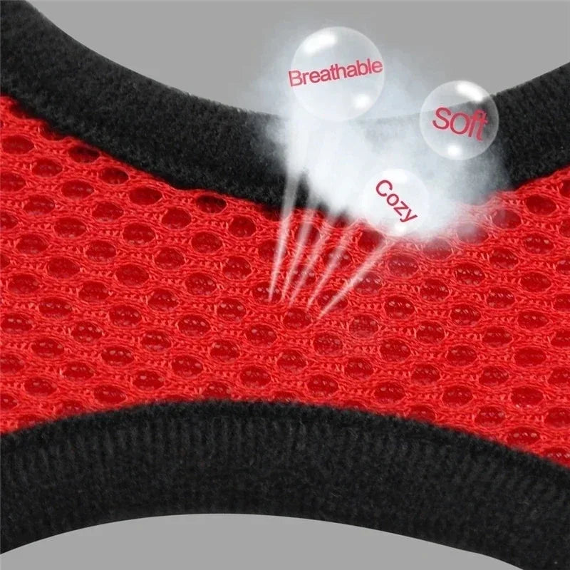 Cat Vest for Walking
