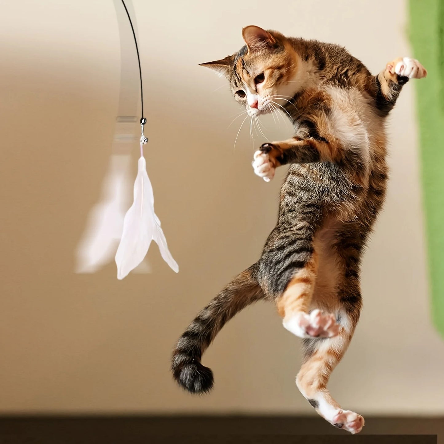 Cat feather Toy