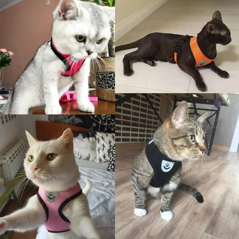 Cat Vest for Walking