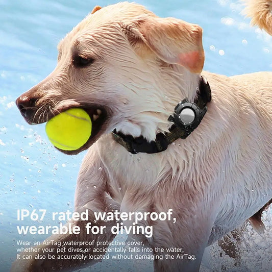 waterproof GPS collar