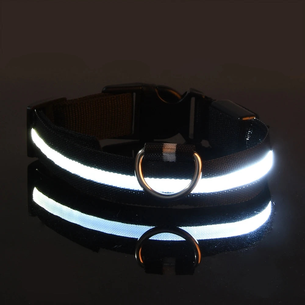 Glow In The Dark Dog collar