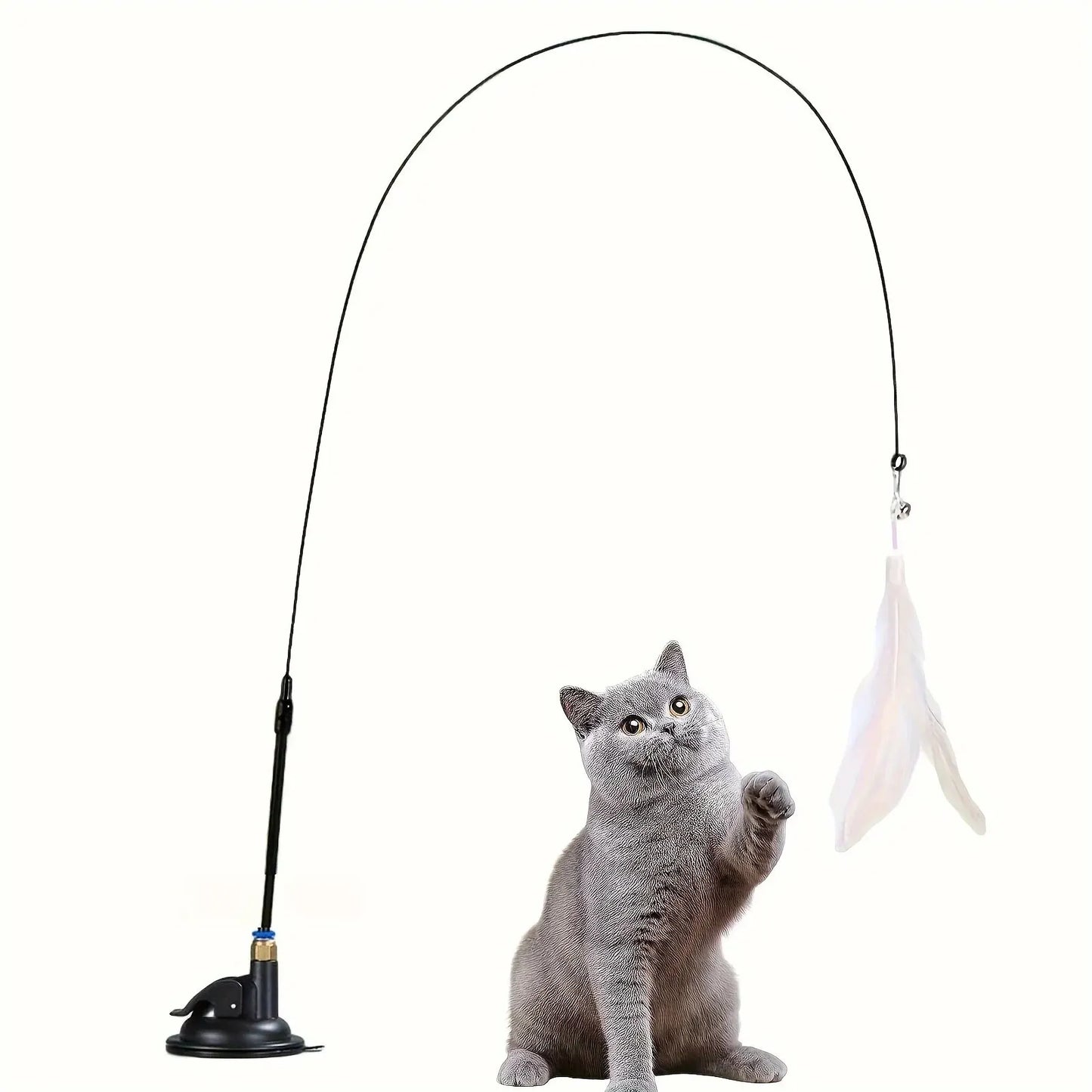 Cat feather Toy