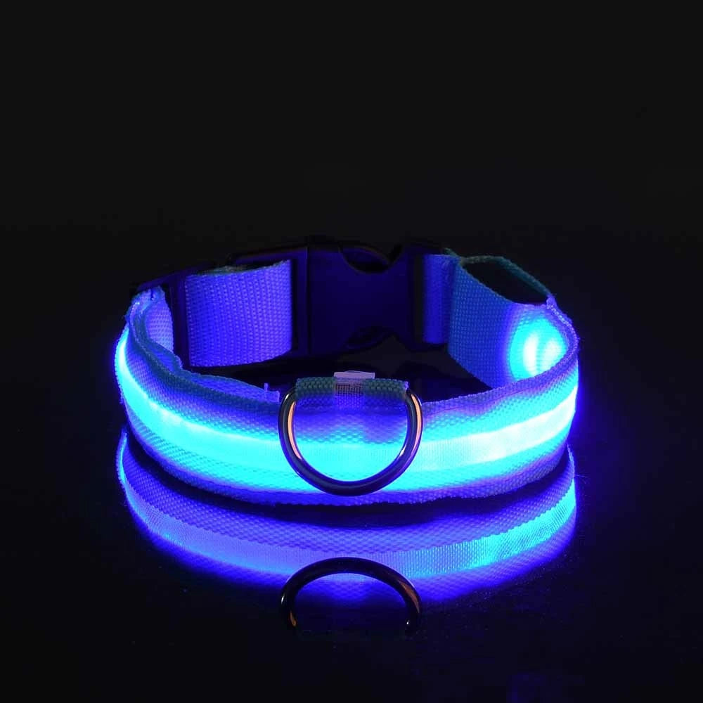 Glow In The Dark Dog collar