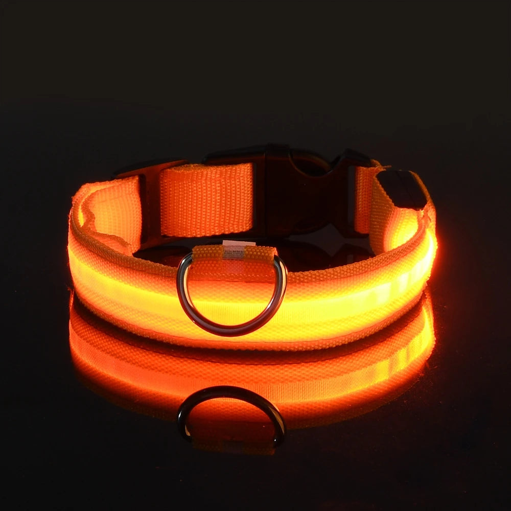 Glow In The Dark Dog collar
