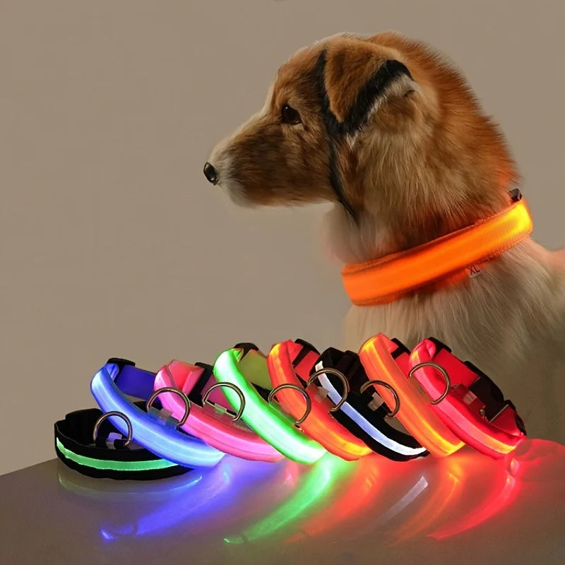 Glow In The Dark Dog collar