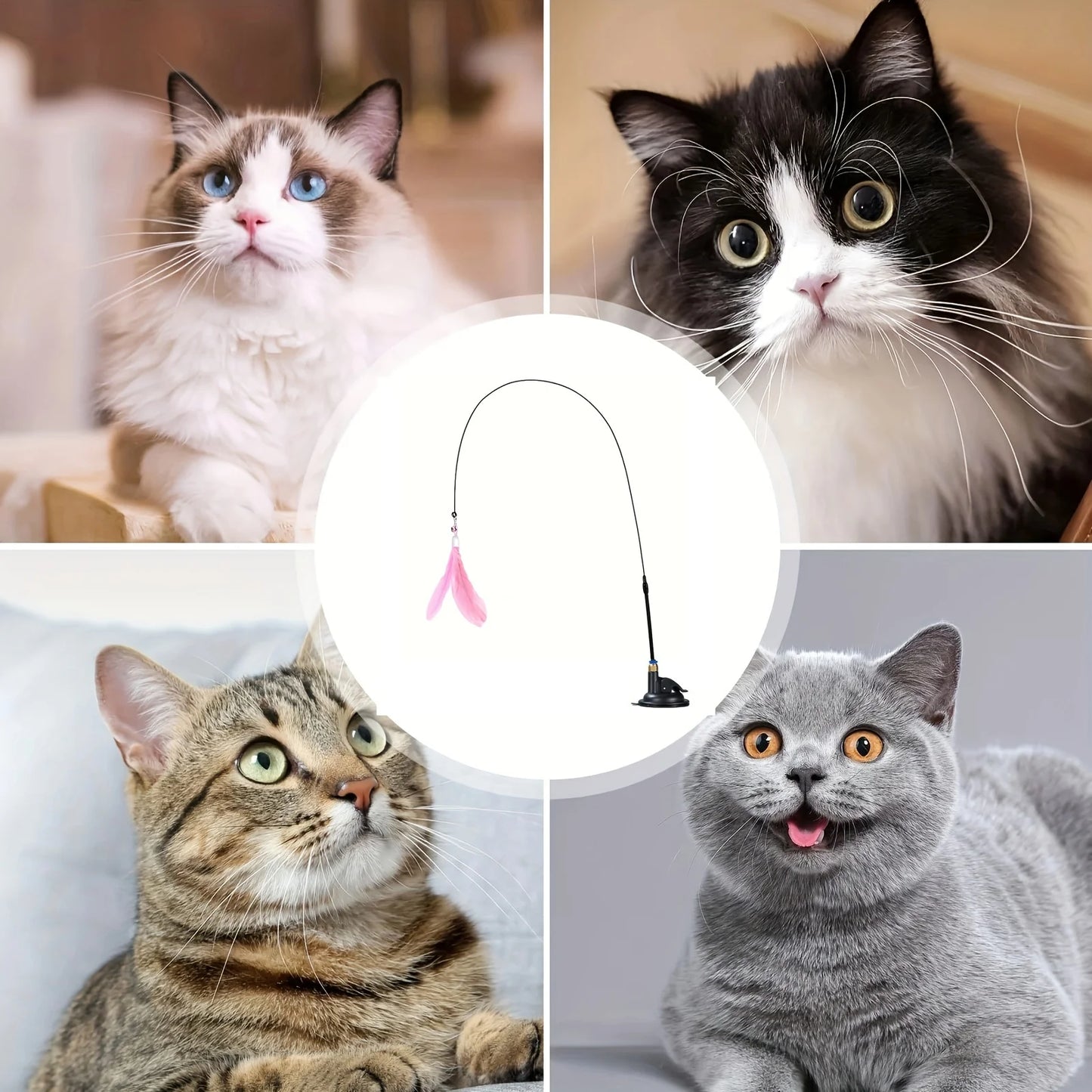 Cat feather Toy