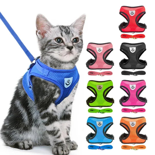 Cat  Vest for Walking