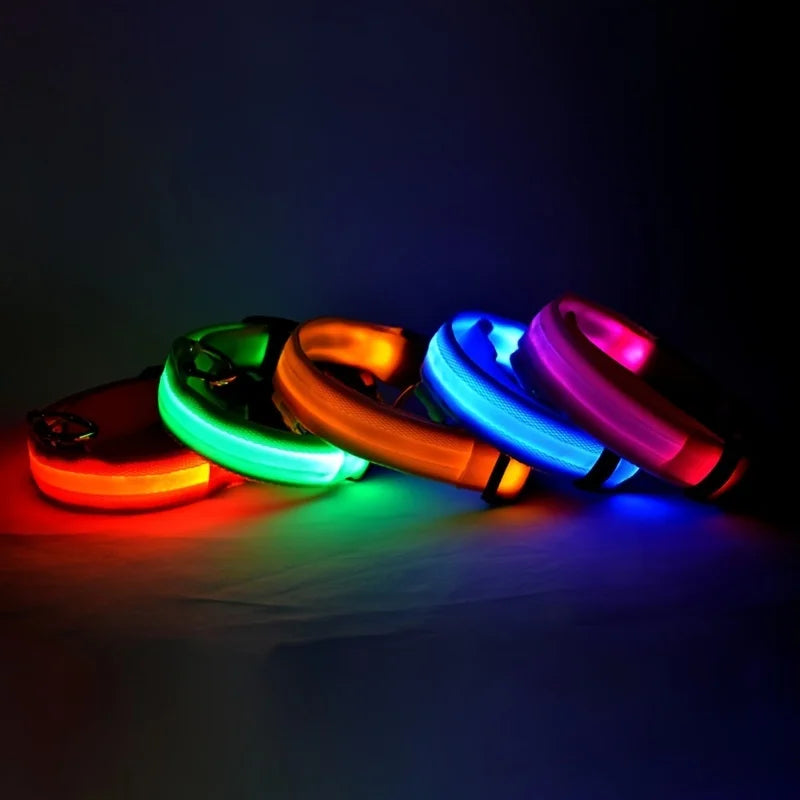 Glow In The Dark Dog collar