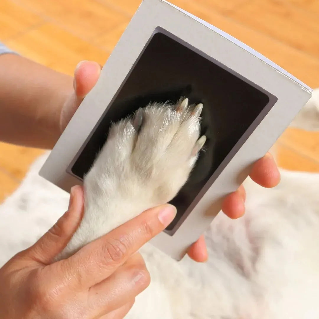 Paw Print