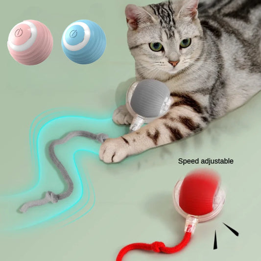 Automatic Rolling Ball