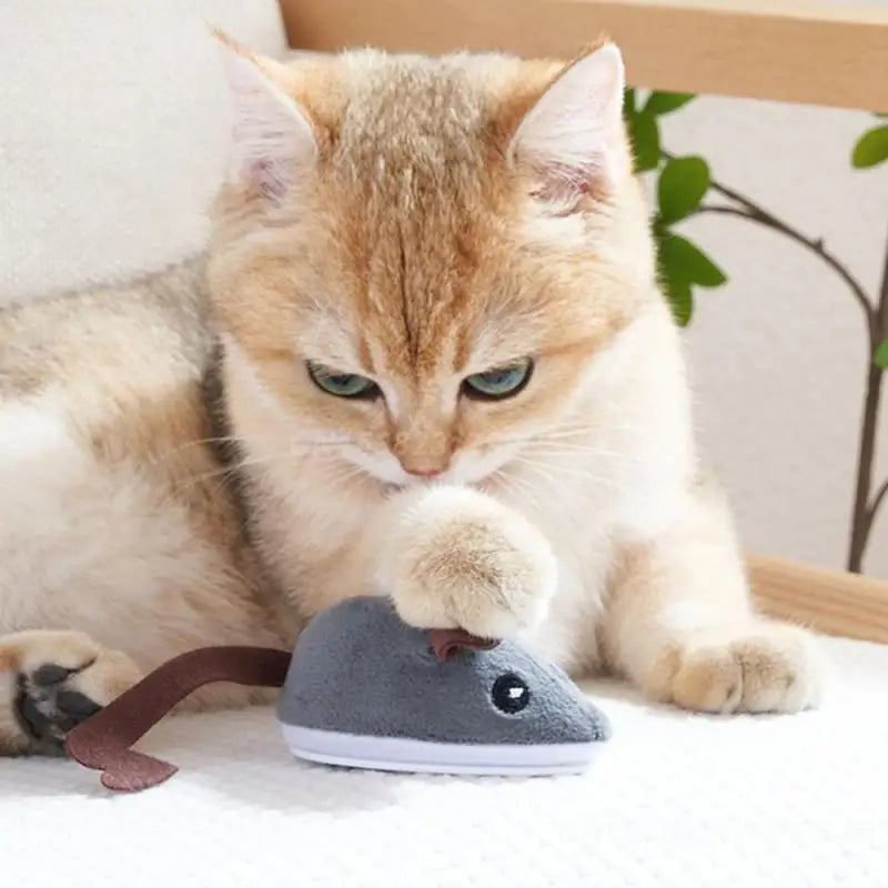 Interactive Moving Mouse Toy For Cats