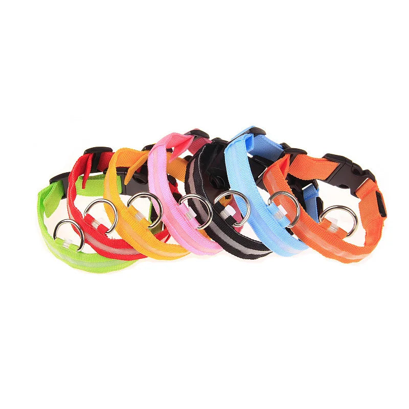Glow In The Dark Dog collar